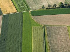 agroturystyka